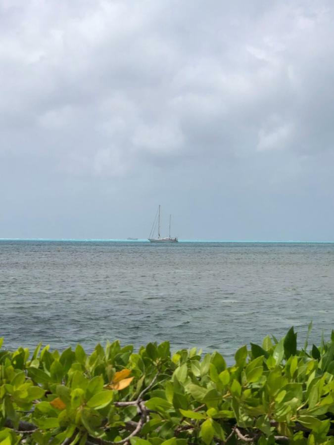 Apartamento Sunrise Con Vista Interna O Con Vista Al Mar San Andrés Eksteriør bilde
